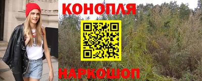 apvp Кимры