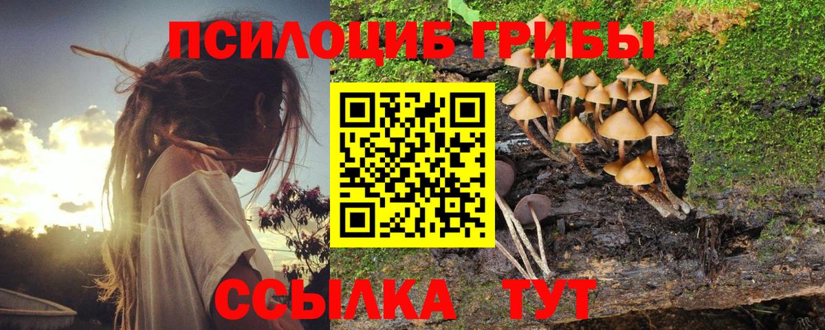 Псилоцибиновые грибы GOLDEN TEACHER  Псилоцибиновые грибы Psilocybine cubensis  Вход с VPN  Джанкой 