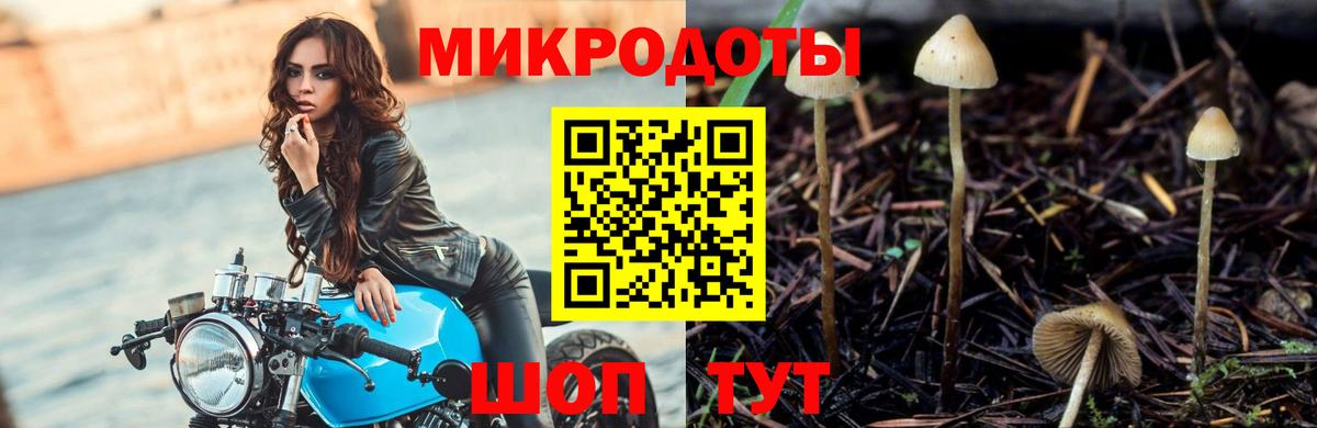 Псилоцибиновые грибы GOLDEN TEACHER Джанкой